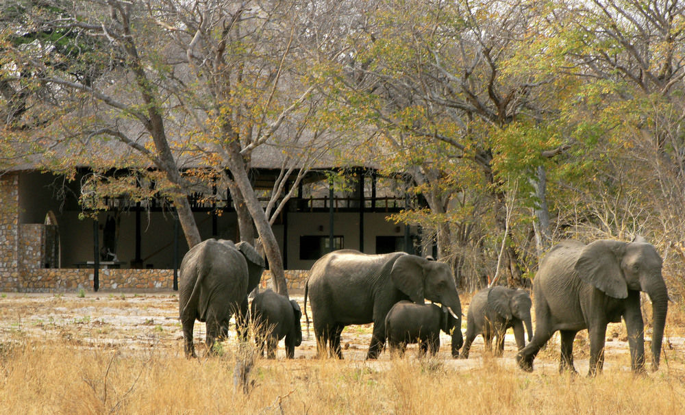 Gwango Heritage Resort Dete Экстерьер фото