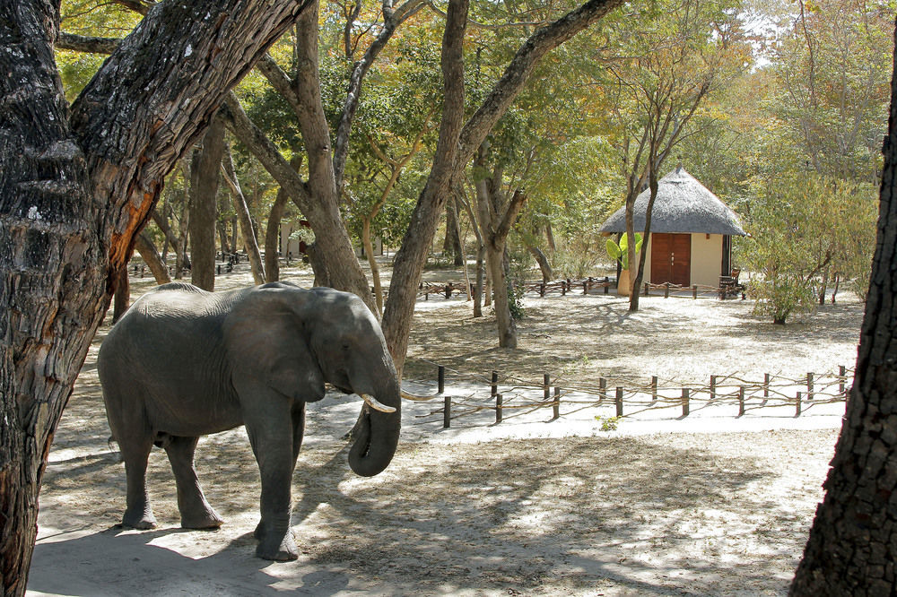 Gwango Heritage Resort Dete Экстерьер фото